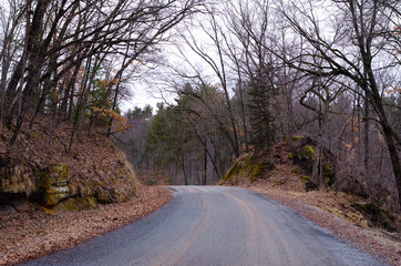 road in the forest