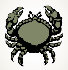 Big sea crab. Vector drawing