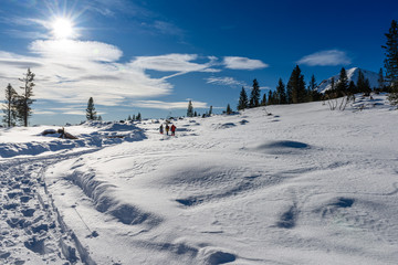 Neve nelle Dolomiti, Passo di Lavazè, Trentino Alto Adige
