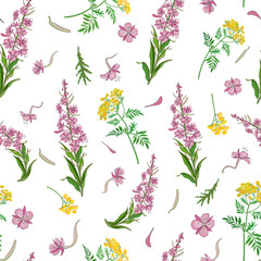 Seamless pattern with yellow flowers of medicinal tansy and narrow-leaved fireweed