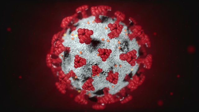 Realistic 3D animation of the Coronavirus 2019-nCoV Wuhan. SARS-CoV-2 known as 2019-nCoV, COVID-19. Seamless loop.