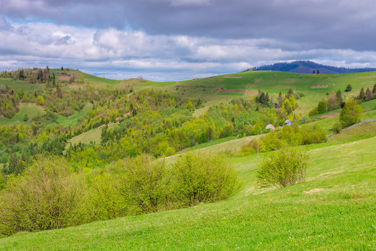 rolling hills and grassy meadows of mountainous countryside. beautiful rural landscape in springtime. sunny weather with clouds on the sky. ridge in the distance