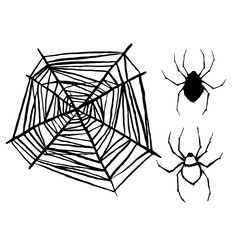 spider vector ink sketch hand drawing silhouette illustration