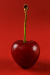 Cereja vermelha com caule em fundo vermelho