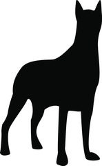 Vector illustration, black silhouette on a white background, Doberman dog.