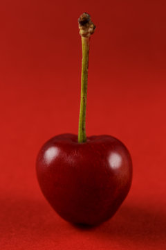 Cereja vermelha com caule em fundo vermelho