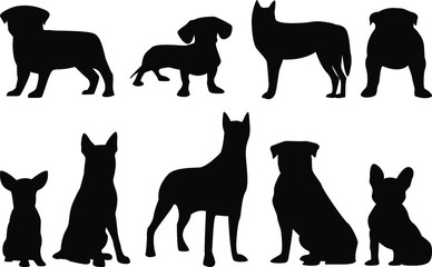 Vector illustration, set of black silhouettes of dogs on a white background.