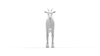 3D rendering of a goat farm animal small computer generated isolated