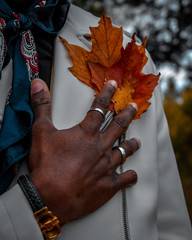 Holding leafs 