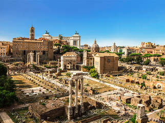 Fototapeta na wymiar Panorama of the ancient buildings of the Roman forum, top view. Rome, Italy