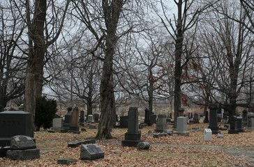 Fototapeta premium old jewish cemetery