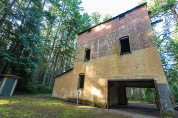 Forest landscape of old fort building in the forest at Fort Townsend State park in Washington