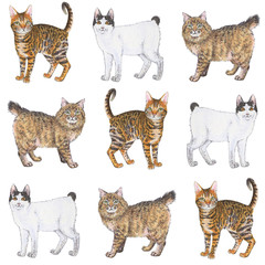 Seamless pattern with cats on white background for wrapper, textile, scrapbooking paper