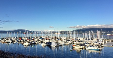 Fototapeta na wymiar A beautiful sunny winter day overlooking a marina packed with sailboats along one of many beaches in Vancouver, British Columbia, Canada