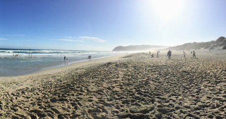Many New Zealanders and tourists enjoying a gorgeous day at the beach outside of Dunedin, New...