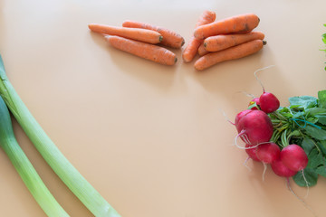 radish bunch on orange background