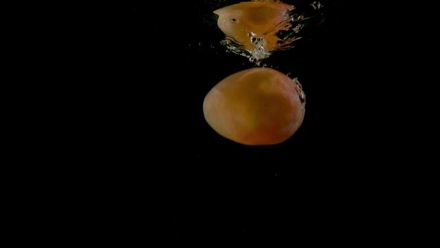 Whole mango falling underwater on black background for text placement