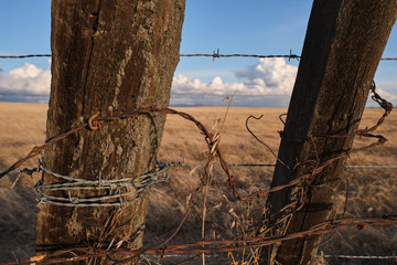 Rusty barbed wire wrapped around weathered wood fence posts on a Northern California ranch.