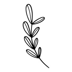 Sprig with leaves cute outline doodle art. Print for cards, posters, banners, stickers, web, fabrics, textiles, wrapping paper, boxes, packages, coloring books for children and adults, decor.