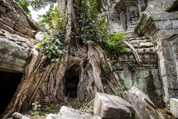 Inside Ta Prohm temple in Cambodia
