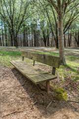 Empty park bench and trails
