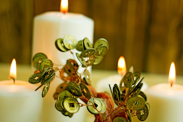Chinese money tree with coins on a wooden table surrounded by burning candles. Money symbol in feng shui. Money symbol concept, esoteric background