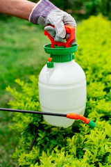  Garden care topic: Hand holding manual sprayer for insecticides or sprays for plants and flowers.