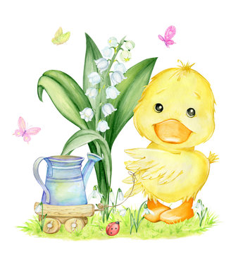 Cute Duckling, watering can, Lily of the valley, snowdrops, grass, wooden cart and butterflies. Watercolor clip art, on a spring theme. A child's picture on an isolated background.