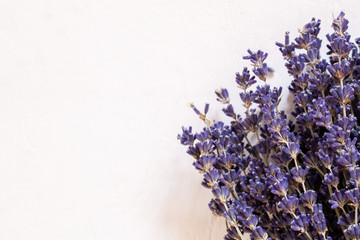Dry lavender in a bouquet on a light background. Provence style.