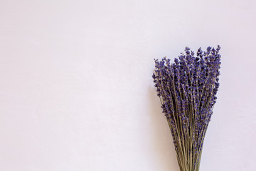 Dry lavender in a bouquet on a light background. Provence style.