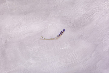 Dry lavender in a bouquet on a light background. Provence style.
