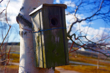 birdhouse