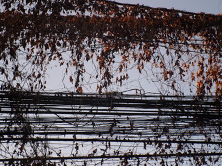 water, lake, tree, nature, forest, winter, landscape, trees, reflection, snow, river, spring, sky, blue, sunset, wood, cold, park, calm, fog, woods, scene