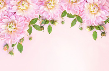 Soft pink delicate blossoming dahlias, summer blooming flowers festive background, pastel bouquet floral card, toned	