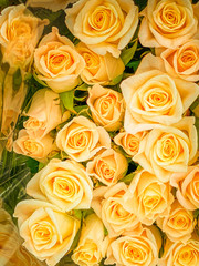 Obraz na płótnie Canvas Bouquet of yellow roses