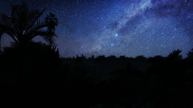 Beautiful starry sky over tropical rain forest jungle