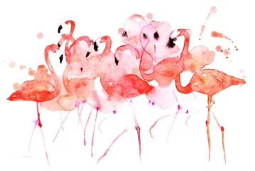 Papier peint adhésif Peintures des oiseaux