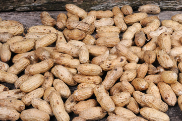 Peanuts. Front view.