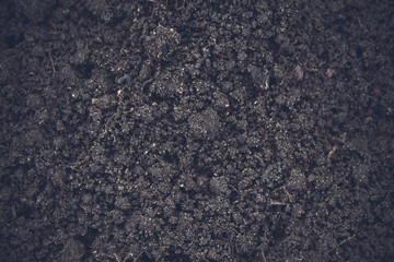 Black fertile soil. Close-up. Top view. Background. Texture.