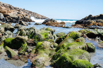 mossy beach rocks in the ocean with waves in background