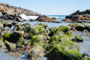 mossy beach rocks in the ocean with waves in background