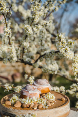 Homemade Cinnabon Buns with Cinnamon and Cream. Tasty cakes with cream buttercream icing. Easter sweet dessert cake. Close up view. Cinnamon in blooming trees. Outdoor shooting in garden.