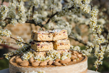 Blueberry Crumble Cake. Easter sweet dessert cake. Black currant cake. Close up view. Selective focus. Crumble cake with blueberries and homemade cottage cheese in blooming trees. Outdoor shooting