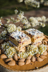 Blueberry Crumble Cake. Easter sweet dessert cake. Black currant cake. Close up view. Selective focus. Crumble cake with blueberries and homemade cottage cheese in blooming trees. Outdoor shooting