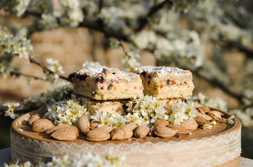 Blueberry Crumble Cake. Easter sweet dessert cake. Black currant cake. Close up view. Selective focus. Crumble cake with blueberries and homemade cottage cheese in blooming trees. Outdoor shooting
