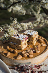 Blueberry Crumble Cake. Easter sweet dessert cake. Black currant cake. Close up view. Selective focus. Crumble cake with blueberries and homemade cottage cheese in blooming trees. Outdoor shooting