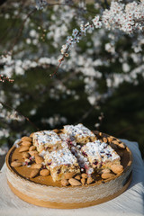 Blueberry Crumble Cake. Easter sweet dessert cake. Black currant cake. Close up view. Selective focus. Crumble cake with blueberries and homemade cottage cheese in blooming trees. Outdoor shooting