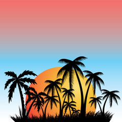 Abstract summer palm tree background.vector