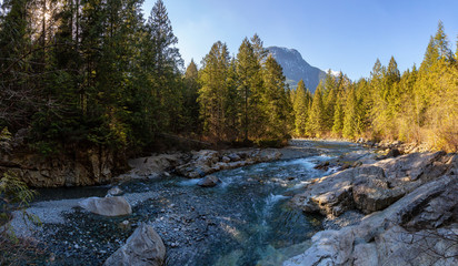 Beautiful Panoramic View of the river in the Canadian Mountain Landscape during a sunny winter day. Taken in Golden Ears Provincial Park, near Vancouver, British Columbia, Canada.