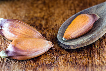 pine nut seed on rustic wooden table. Brazilian cuisine, consumed in winter and June parties.